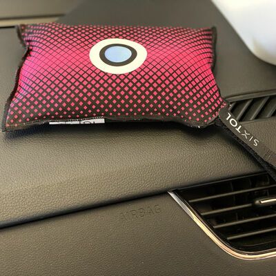 Sada odvlhčovacích polštářků do auta DRY CAR 2 x 350g